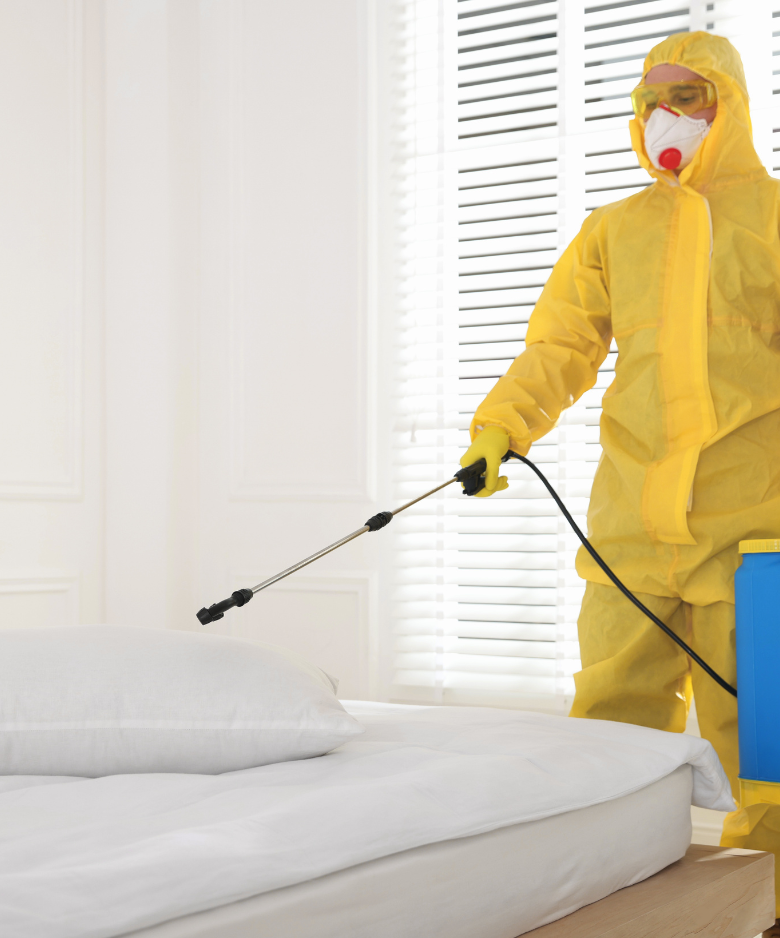 Professional Pest Control Team in Northfield